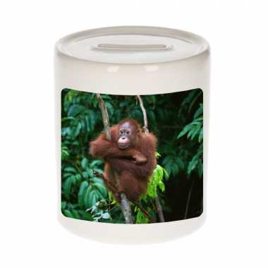 Kinder dieren foto spaarpot orang oetan apen spaarpotten jongens meisjes