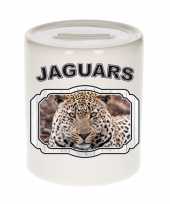 Dieren gevlekte jaguar spaarpot jaguars jaguars spaarpotten kinderen