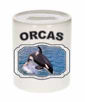 Dieren grote orka spaarpot orcas orka walvissen spaarpotten kinderen