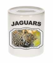 Dieren luipaard spaarpot jaguars jaguars luipaarden spaarpotten kinderen