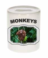 Dieren orang oetan spaarpot monkeys apen spaarpotten kinderen
