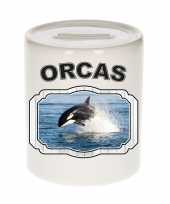 Dieren orka spaarpot orcas orka vissen spaarpotten kinderen