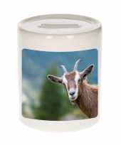 Kinder dieren foto spaarpot geit geiten spaarpotten jongens meisjes