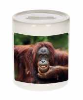 Kinder dieren foto spaarpot gekke orangoetan apen spaarpotten jongens meisjes